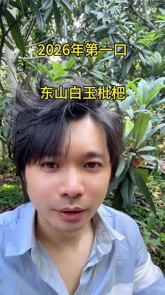 2026年白玉枇杷第一吃#白玉枇杷 #枇杷 #枇杷熟了 #东山白玉枇杷 #尝一口春天的味道