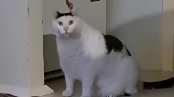 热点信息差 #热点 #热点新闻事件 #热点小助手 #热点知多少 #热点话题