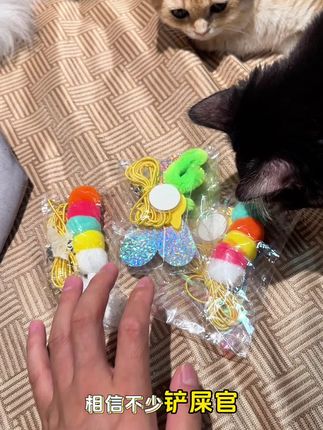 睡觉前打开让它玩一会,猫咪晚上哪里还有精神跑酷#逗猫神器 #萌宠好物 #养猫新手 #猫玩具