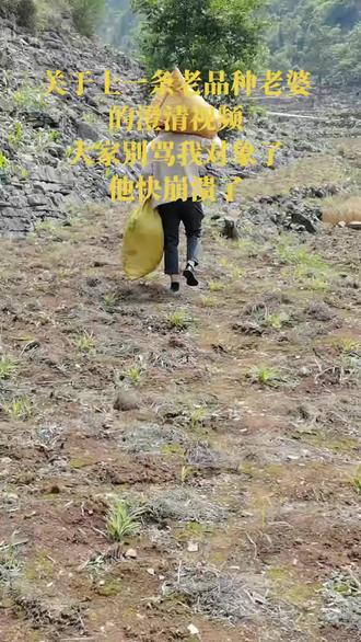 #我要上热门 #澄清视频 #老品种老婆 #贵州男人
各位网友们,大家好,这是一条澄清视频。因为我用我对象手机发的上一条视频引起了一些男女对立的言论,我对象也因此受到了各种不好的语言暴力。他今天也给我说了他快受不了了,想把视频删了,所以我有必要出来澄清一下。
其实这个视频是经过我剪辑的,视频是5月1号当天拍的,当天我婆婆公公在地里收麦子,我老公开车去拉麦子回家来,后面又继续去拉,顺便给婆婆他们送吃的还有喝的水,在家待着也无聊,我就跟他一起坐车去麦田里。到了麦田里,我把吃的给我婆婆以后,我婆婆说太阳太大了,快把小孩背回去。后面在麦田里待了十分钟不到,我公公说开车把这几袋打好的麦子拉回家。因为那个麦子是机器打的,打不干净,麦壳里还夹杂着一些麦子,所以就用口袋装起来,很清轻的,应该也就两斤不到。因为麦田到马路边还有大概一两百米的距离,我对象一手扛着一袋麦子,一手拎着那半袋麦壳,我看他不方便,我就上去拎那个半袋麦壳。他先把麦子扛上去了,就出现后面他掏出手机拍了视频,我就说重新开始拍,等我准备好,我说拍好了拿你手机发出去肯定会火,然后我对象说我那个抖音号都没流量了。我就说没事,你等着看我的文案,说罢上车我就拿他手机捣鼓起来发了出去。没成想发了以后还真的小火了一把。事情的经过就是这样的。
另外我跟我对象是同一所大学(普通二本)的,他是我学长,认识8年,谈了6年,现在结婚两年多,宝宝一岁多。我俩都是射手座,平时相处就是很欢乐,嘻嘻哈哈到,除了没有马内,小日子也是很幸福的。
对于各位网友说的我命苦,吃了很多苦,都是不实言论,大家理性看待。当然也感谢各位姐妹为我发声。