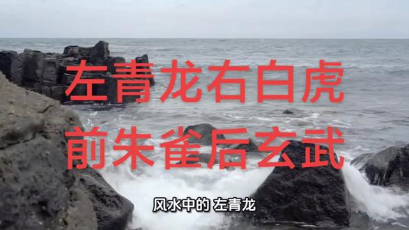 风水中的“左青龙、右白虎、前朱雀、后玄武”的说法,是中国风水理论中最核心、最基础的原则之一,源于中国古代的星象学和方位神兽崇拜。它不仅仅是一种口诀,更是一套完整的环境评估和空间布局的哲学体系。
这四种神兽最初代表天上的二十八星宿所组成的四个方位意象,后来被引申为地理环境的理想模型,称为“四灵兽诀”或“四象”。
1. 左青龙:代表东方,五行属木,象征男性、贵人、事业、生机、活力。颜色为青色/绿色。地形上宜有蜿蜒流水或道路,略高于右侧。
2. 右白虎:代表西方,五行属金,象征女性、财富、肃杀、沉稳。颜色为白色。地形上宜有平坦大道或低矮山丘,位置和气势上必须低于青龙方,以示驯服。
3. 前朱雀:代表南方,五行属火,象征前途、名望、财运、开阔。颜色为红色。地形上宜有开阔的明堂(空地)、池塘或水流环绕,代表前景广阔、气场汇聚。
4. 后玄武:代表北方,五行属水,象征靠山、支撑、健康、稳定。颜色为黑色/蓝色。地形上宜有高大的山峰或建筑物作为依靠,代表有靠山,安全稳固。
一个理想的风水格局,应该是 “背山面水,左右环抱” —— 后有坚实的靠山(玄武),前有开阔的明堂和朝案之山(朱雀),左右有青龙白虎山环抱护卫,形成一种藏风聚气、负阴抱阳的和谐环境。
如何判断“左右前后”
这是最容易出错的地方!切记:方向的判定是以“主体”为中心,面向“明堂”(前方)来定。
· 对于建筑物(阳宅):你站在屋内,面向大门外(主要采光纳气口)的方向为“前”(朱雀),背后为“后”(玄武),左手边为“左”(青龙),右手边为“右”(白虎)。
· 对于住宅楼中的一个单元:你站在自家客厅中央,面向整个房屋最主要的窗户或阳台(通常是采光最好、视野最开阔的一面)的方向为“前”。
· 对于办公桌:你坐在座位上,面朝工作方向(通常是面对电脑或办公室门口)为前,背后为靠山。
实际应用与禁忌
1. 外部环境(大风水)
· 青龙白虎方:
· 宜:青龙位宜略高、活跃、动态(如高楼、树林、蜿蜒道路)。白虎位宜略低、安静、稳固(如矮楼、草坪、笔直道路)。“不怕青龙高万丈,就怕白虎抬头望” —— 如果白虎方过高、过强(如高压塔、尖角建筑),易导致口舌是非、女性掌权或血光之灾。
· 忌:青龙位低陷或受冲(如破损、噪音),则贵人无力;白虎位逼压、动土,则煞气重。
· 朱雀方:
· 宜:开阔、整洁、有生机。最好
