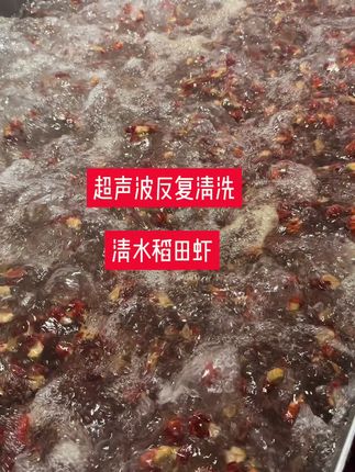 #小龙虾 #麻辣小龙虾 #龙虾 活虾现剥,经济实惠