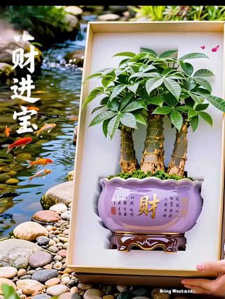 姐妹们,三杆发财树盆栽哦哦,它是绿意盎然间藏着一份美好祝愿。它不仅是室内的点睛之笔,更是财源广进的象征。,每一片叶子都仿佛在谁说着生机与希望,为家里增添一抹自然的气息。平时不管放在客厅或办公室,瞬间提升格调,让人心情愉悦。t这份精致的盆栽,不仅是植物,更是让生活的小确幸。愿它伴你四季常青,好运连连!#室内绿植盆栽#发财树#生活小确幸#三杆发财树 #好东西一起分享 #爆款热卖中