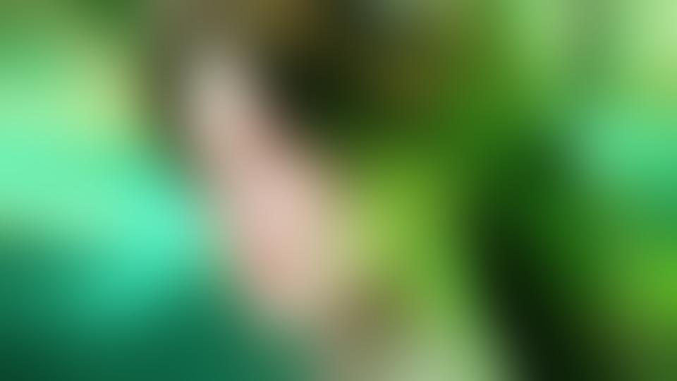 《柳神》无敌道4k超清壁纸 - 抖音
