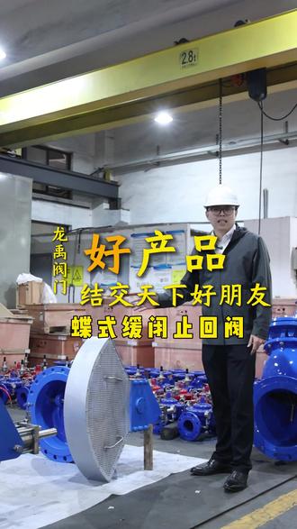 蝶式缓闭止回阀 立式安装 欢迎大家来厂进行交流 定制#阀门#止回阀 #蝶式止回阀