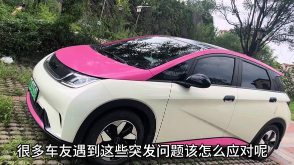 很多车友遇到这些问题不知道如何处理,手把手教大家解决问#比亚迪 #每天一个用车知识 #比亚迪海豚车主
