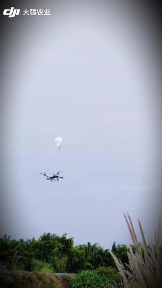 无人机后横杆安装教程来了! 一看就会,十分简单!#新农人新天地 #服务我们是认真的 #赣闽大疆农业 #植保无人机 #无人机吊运