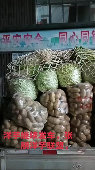 洋芋继续发车,张朋洋芋联盟,