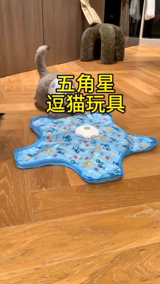 #上热门🔥 五角星逗猫玩具,猫咪玩到停不下来的五角星逗猫棒,谁能拒绝这份快乐?#猫玩具#猫咪#逗猫#萌宠好物@巨量引擎小助手