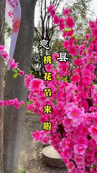桃韵息州·花神启春,千年古县息县向您发来春日邀约!#息县生活 #同城推荐 #息县桃花节 #春日游玩攻略 #桃花开了
