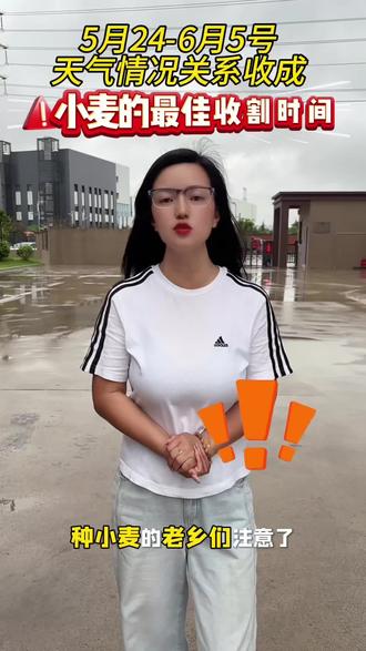 老乡们速看,小麦的最佳收割时间,5月24号到6月5号天气情况关系收成#小麦#小麦收割#抖音助农,增产增收