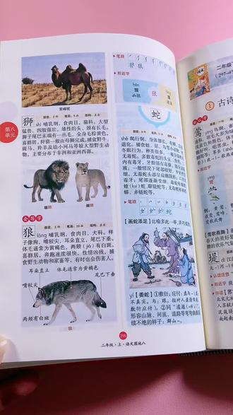 字词手册 1-6年级语文字词句全能手册,一本搞定小学字词难题!#语文 #小学语文 #字词句 #字词句手册 #学习