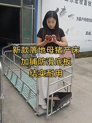#简易母猪产床#产床漏粪板#产床限位栏