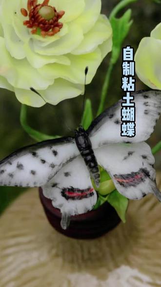 零基础教你做粘土蝴蝶🦋#手工 #手工diy #粘土 #粘土教程 #粘土蝴蝶