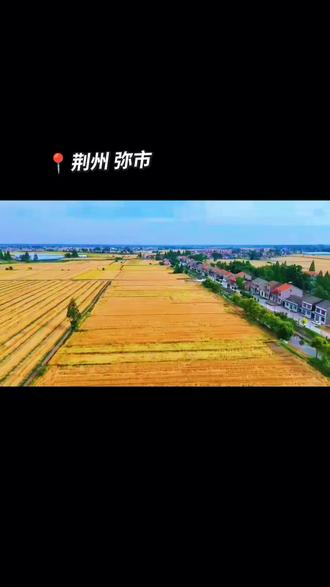 一方金色麦浪,一枕田园梦乡。
我的家乡,荆州弥市,平凡亦动人✨#荆州弥市 #我的家乡在荆州 #乡村美景 #金色麦浪 #治愈系风景
