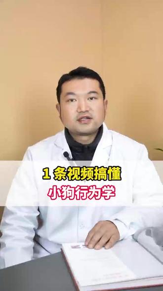 1条视频搞懂小狗行为学 #科学养宠攻略#宠物医生#狗狗#新手养狗#萌宠