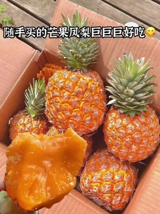 这个芒果凤梨真的太太太好吃了!只要它不停产,我能一直吃!收到后开箱就能闻到浓郁的芒果和凤梨的混合果香!切开直接就可以吃,不需要泡盐水,不需要挖眼,一口下去满嘴爆汁,果肉特别细腻,口感清甜爽口!真的好好吃,喜欢吃芒果和凤梨的姐妹一定要品尝一下!#凤梨#海南金钻凤梨#新鲜应季水果#香甜多汁#把家乡的味道分享给大家