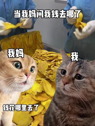 你们的零花钱呢 #果干#悦百汇 #芒果干 #好吃不贵经济实惠 #超便宜超划算