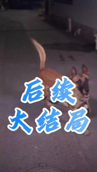 变成狗后,被女上司捡回家了 变成狗被捡回家后续剧情
重生成狗
女上司发现狗狗秘密
变成狗被喜欢的女生捡回家短剧
变宠物后我和高冷女上司同居了
新来的上司竟然是小狗
变成狗后被女上司捡回家了女演员
变成狗后被女上司捡回家短剧
变成狗后被女上司捡回家了短剧
我变成狗被女生捡回家短剧
变成狗被女上司捡回家短剧剧情
变成狗被喜欢的女生捡回家
变成狗被女上司捡回家短剧男主
变成狗被女上司捡回家短剧女主
变成狗被喜欢的女生捡回家漫画
变成狗被女生捡到的视频
变成了狗的小伙被女友捡回家
高冷上司突然变成小奶狗
变成狗被女主捡到
变成狗之后被喜欢的女生捡回家
变成狗被女主捡到漫画
变成狗后被喜欢的人捡了
变成狗被喜欢的女生捡回家
#变成狗后被女上司捡回家了 #变成狗后被女上司捡回家了短剧 #变成狗后被女上司捡回家了后续 #好剧推荐 #短剧追到爽