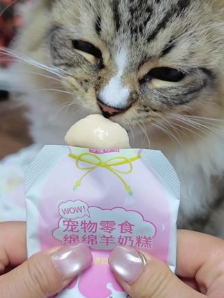 哆嗳哆萌家的新品绵绵小奶糕营养美味还补水!趁新品推广活动赶紧囤!#猫饭 #哆嗳哆萌 #猫咪小奶糕 #猫咪补水