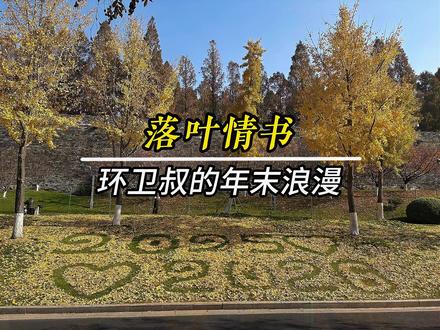 2025收尾的治愈瞬间,南京环卫工把落叶变成写给新年的情书 #南京玄武湖 #环卫工 #2025结尾 #2026