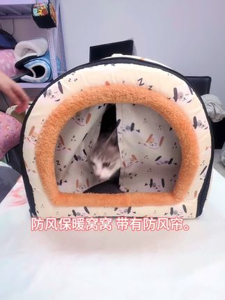 ##宠物 快来给毛孩子一个温暖的窝窝吧☝️