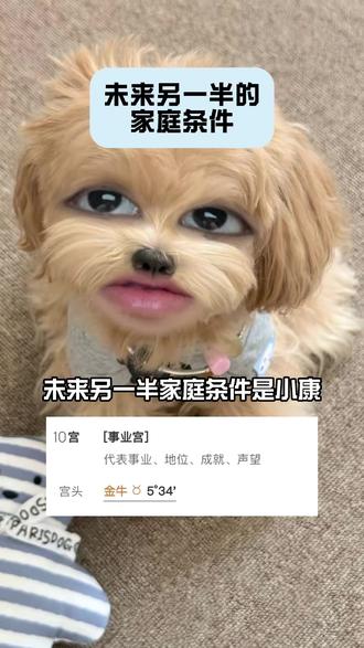 未来另一半的家庭条件 #星盘 #星盘分析 #星座 #情感 #占星