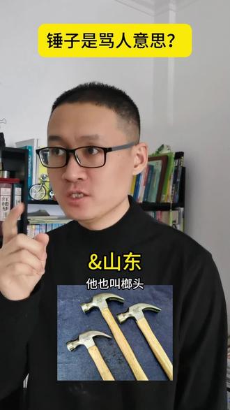 锤子是粗话???#锤子 #榔头 #铁锤 #大锤 #南北方差异