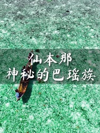 阿钦夫妇漂流记