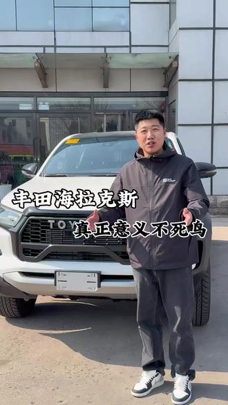 海拉克斯皮卡喜欢么?