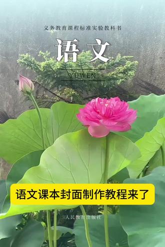 语文课本封面制作教程,语文课本封面怎么制作 语文课本封面#荷花语文封面#剪映 #语文课本封面制作 #语文书封面