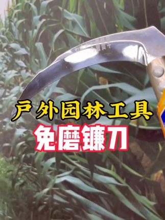 藤田军25年精品日本SK85钢 弯把红榉木#镰刀 清除草实木加长开路#收割镰刀 #农用工具 #割草镰刀 #割玉米镰刀