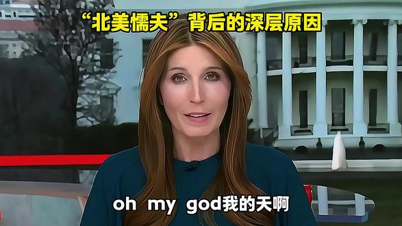 枪支合法却无法反抗暴政?“北美懦夫”背后的深层原因 #硬核深度计划 #零基础看懂全球 #国际