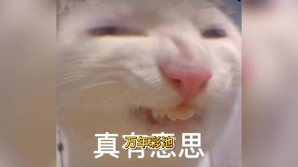 万年彩池一泡尿 家长狡辩被当场打脸 3岁小孩对着万年钙化彩池撒尿,家长不但不道歉还狡辩"没厕所",景区当场打脸:十几米外就有公厕。万年彩池一万年才长1毫米,一泡尿就能破坏不可逆。这不是熊孩子的问题,是熊家长的素质豁免错觉。#万年彩池 #黄龙景区 #素质豁免 #熊家长 #道德推脱