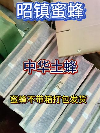 #蜜蜂 #蜜蜂出售 #农村生活 #昭镇蜜蜂 笼蜂发货