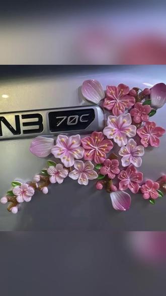 好物推荐 3d立体桃花车贴汽车电动车花朵装饰贴无痕点胶内饰树脂樱花装饰#好物分享#好物推荐🔥#视频同款