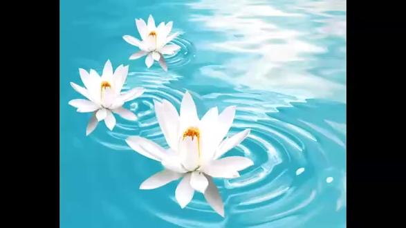 黄念祖老居士个人简介