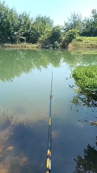 鱼没钓到,惹了一身骚