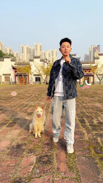 大犟种土松能不能训练? #土松 #南京训犬 #南京宠物学校