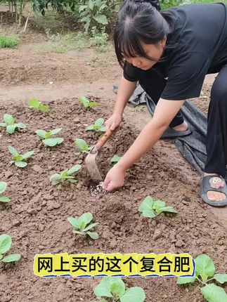种菜推荐用这个氮磷钾三元平衡#复合肥 ,它肥效持久稳定,营养元素很全面,既可以做底肥,也可以追肥使用,还能兑水浇灌,家里的蔬菜果树花卉都能用。#蔬菜种植 #肥料 #家庭种植 #种菜肥料推荐