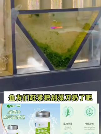鱼缸清澈透亮的秘密就是这个小东西鱼缸里扔上几粒什么黄水、绿水、丝藻、褐藻、鹿角藻、黑毛藻,就跟变魔术一样消失不见了。不伤鱼虾和水草,轻松养出空气缸,懒人养鱼必备神器,再也不用频繁擦缸换水了!现在呀,厂家做活动,赶紧点击左下角购物车!