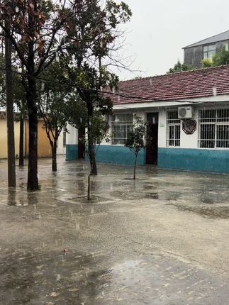 有人困在雨中,有人雨中赏雨。#村小学#二年级的小学生 @抖音小助手
