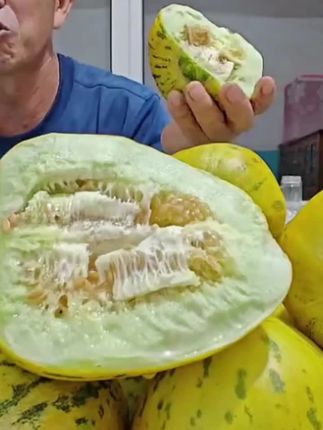 【顺丰】东北八里香大地香瓜精选花蕾甜瓜水果小甜瓜现摘头茬