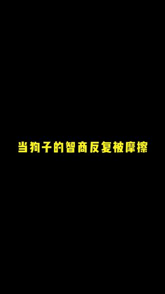 《当狗子的智商反复被摩擦》 #萌宠出道计划#柴犬 #万物可爱计划 #狗狗的日常 #萌宠日常记录