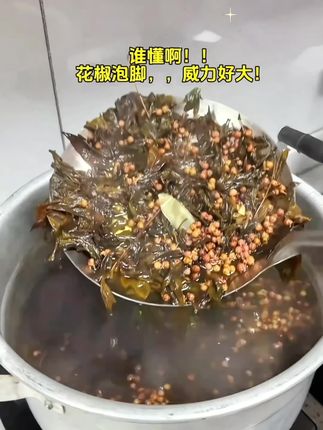 我的那个天呐‼️瞬间对花椒起了最大的敬意..#泡脚#花椒