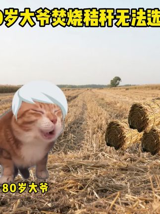 80岁大爷焚烧秸秆无法选中#猫meme小剧场