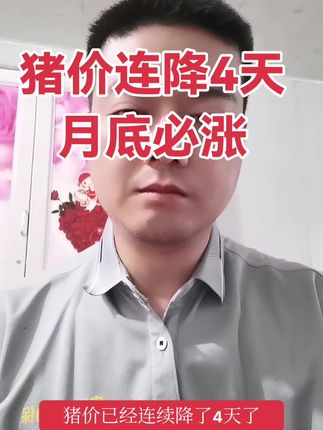 #养猪人 #养猪人加油干 #云贵川渝养猪 #明天猪价 #云贵川渝养猪@DOU+小助手 猪价连降4天月底必涨