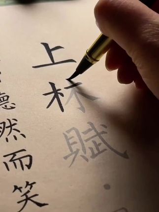 上林赋我写完了,一字不落,写上林赋得心上人,全文2691个字一笔一划皆是诚意。