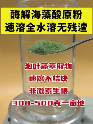 酶解海藻酸原粉,泡叶藻原料,非激素生根,300~500克一亩地。#三农种植 #肥料 #海藻精 #生根壮苗