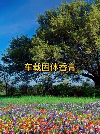 香氛杯车载固体香膏香水车用香薰座摆件除味空气净化清新剂 #车载固体香膏 #车载香氛香膏 #摆件香膏 #香膏